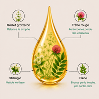 Lynae - Drainant Lymphatique - Ménopause — vue 9