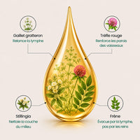 Lynae - Drainant Lymphatique - Cellulite — vue 9